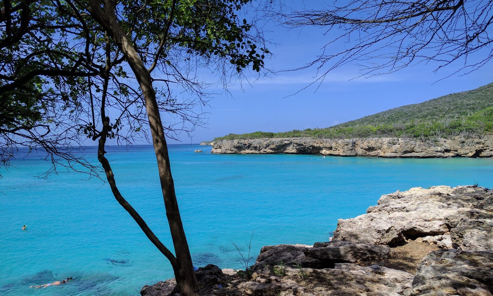 The turquoise bay of Grote Knip with rocks and a tree in the foreground