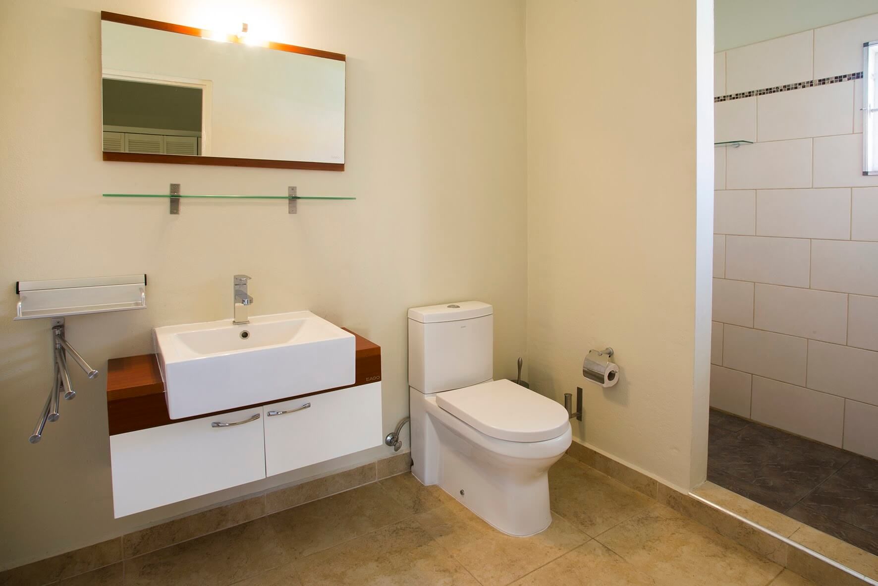 A bathroom with washbasin, toilet and walk-in shower