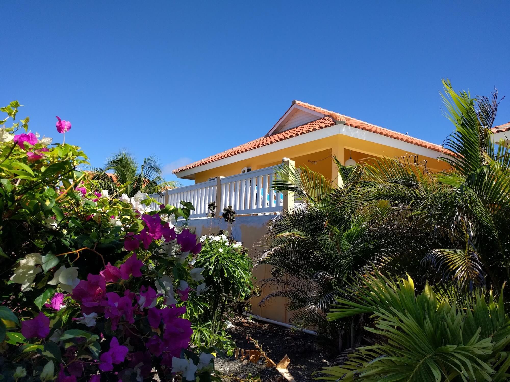 Der Garten mit Bougainvillea und Palmen, dahinter Terrasse und Haus
